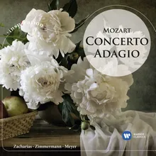 Piano Concerto No. 21 in C Major, K. 467: II. Andante