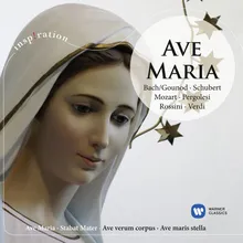 Motet: Ave Maria (1991 Remastered Version)