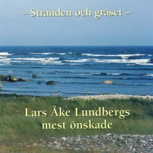 Allt Är Ditt (Inget Är Vårt)