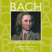 Sehet, wir geh'n hinauf gen Jerusalem, BWV 159: No. 5, Choral. "Jesu, deine Passion"