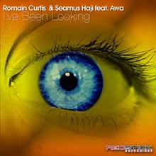 I've Been Looking (feat. Awa) Seamus Haji Vocal Mix