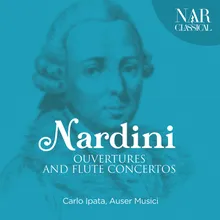 Concerto per flauto traverso in D Major: II. Andante