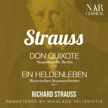 Don Quixote, Op.35, IRS 18: Variation X. Don Quixotes Niederlarge