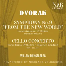 Symphony No.9 in E Minor, Op.95, IAD 117: I. Adagio-Allegro molto