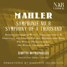 Symphony No. 8, E-Flat Major, IGM 14: VII. Uns bleibt' ein Erdenrest (Chor, Alto)