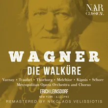 Die Walküre, WWV 86b, IRW 52, Act I: "Siegmund heiss ich" (Siegmund, Sieglinde)