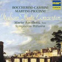 Concerto per flauto, archi e due corni in D Major: III. Allegro