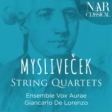 String Quartet No. 1 in C Major: II. Andante