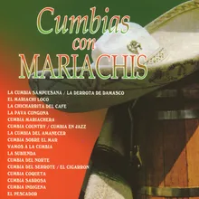 Cumbia sabrosa ( inter. Mariachi de Román Palomar)