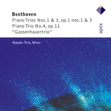 Beethoven: Piano Trio No. 3 in C Minor, Op. 1 No. 3: IV. Finale. Prestissimo