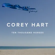 Ten Thousand Horses (feat. Jane Siberry) [Guitar version]