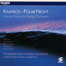 Rechberger : Kaamos [Polar Night]