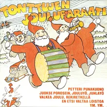 Tonttujen jouluyö