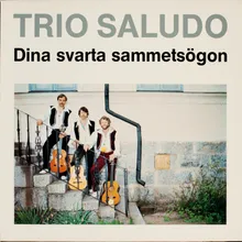 Dina svarta sammetsögon