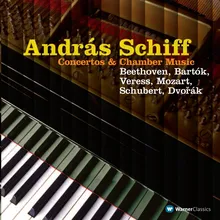 Piano Trio No. 4 in E Major, Op. 15 No. 2, K. 542: II. Andante grazioso