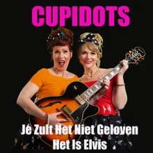 Je Zult Het Niet Geloven Het Is Elvis