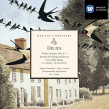 Sonata for String Orchestra (2006 - Remaster): III. 'Late Swallows' (Slow and wistfully)