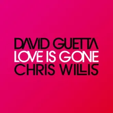Love Is Gone (Fred Riester & Joachim Garraud Radio Edit Remix)