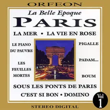 Sous les Ponts de Paris