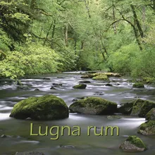 Lugna Rum