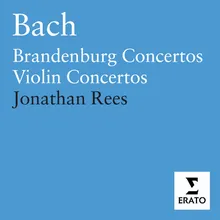 Brandenburg Concerto No. 1 in F Major, BWV 1046: II. Adagio