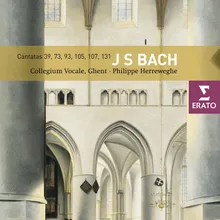 Cantata No. 73, 'Herr, wie du willt, so schicks mit mir' BWV73: Recitativo: Basso: Ach, unser Wille bleibt verkehrt