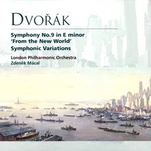 Dvorák: Symphony No. 9 in E Minor, Op. 95, B. 178, "From the New World": IV. Allegro con fuoco
