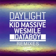 Daylight David Puentez & Dario Rodriguez Remix Edit