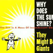 Why Does the Sun Shine? (The Sun Is a Mass of Incandescent Gas)