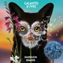 Dandelion Pandapush Remix