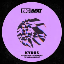 Destiny (feat. Camden Cox) Kydus 5am Remix