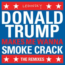 DonaldTrumpMakesMeWannaSmokeCrack Landis Remix