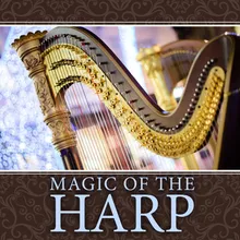 Harp Concerto in A Major: II. Larghetto