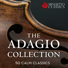 Violin Concerto in D Minor for 2 Violins and Orchestra, BWV 1043: II. Largo ma non tanto