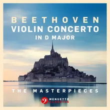 Violin Concerto in D Major, Op. 61: I. Allegro ma non troppo