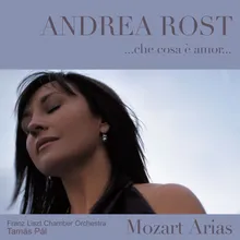 Mozart: Don Giovanni, K. 527, Act 1: "Or sai chi l'onore" (Donna Anna)