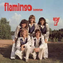 Flamingo-rock