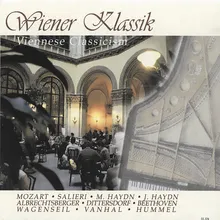 Symphony No. 25, K. 183: III. Menuetto