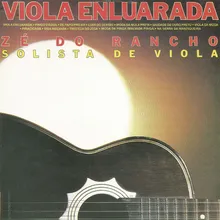 Viola enluarada