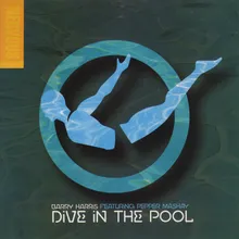 Dive In The Pool Rub A Dub