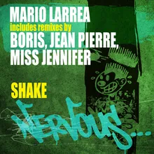 Shake DJ Boris Remix