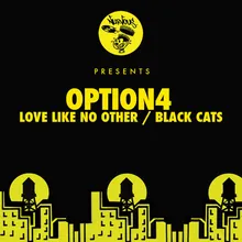 Love Like No Other feat. FLASH/LIGHTS Original Mix