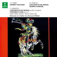 Albinoni: Flute Concerto in G Major, Op 7 No. 4: II. Adagio