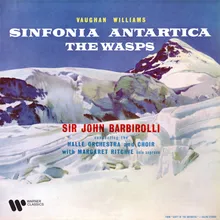 Vaughan Williams: Symphony No. 7 "Sinfonia antartica": III. Landscape. Lento