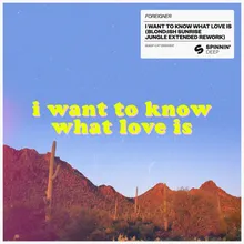 I Want To Know What Love Is BLOND:ISH Sunrise Jungle Extended Rework