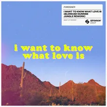 I Want To Know What Love Is BLOND:ISH Sunrise Jungle Rework