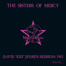 Heartland David 'Kid' Jensen Session, London, 1983, Live