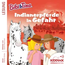 Kapitel 40: Indianerpferde in Gefahr