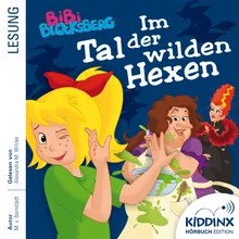 Kapitel 10: Im Tal der wilden Hexen