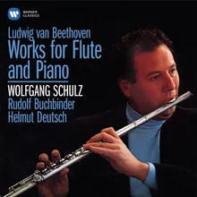 Beethoven / Arr. Kleinheinz: Serenade for Flute and Piano in D Major, Op. 41: II. Tempo ordinario d'un menuetto (Arr. of Serenade, Op. 25)